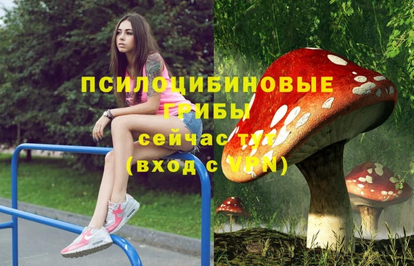 мяу мяу мука Алексеевка