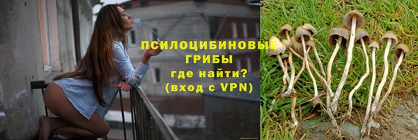 мяу мяу мука Алексеевка