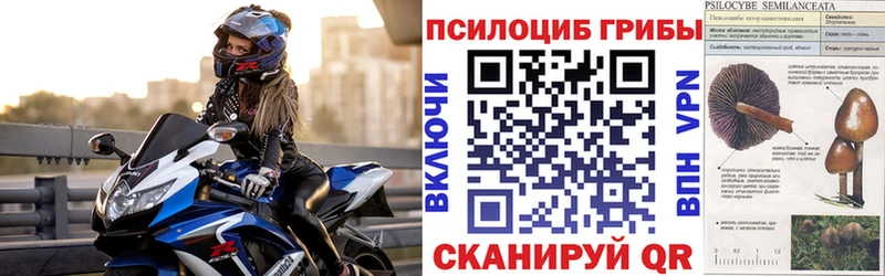 дарк нет телеграм  Амурск  Галлюциногенные грибы Magic Shrooms 